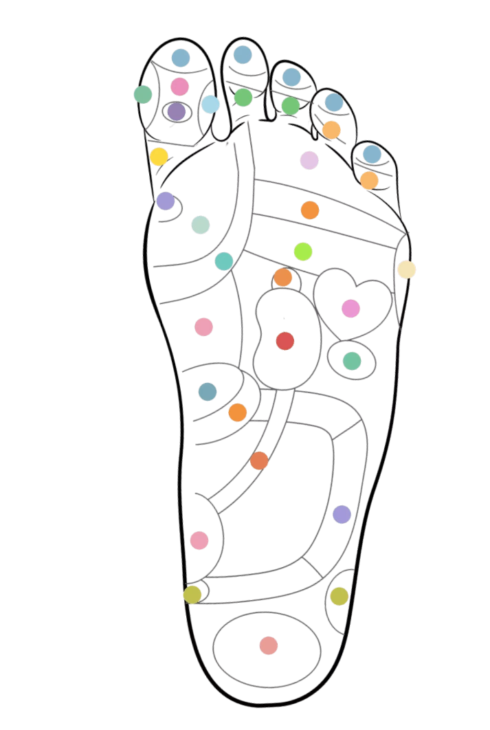 {{brizy_dc_image_alt imageSrc=